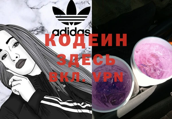 молекула духа Киренск