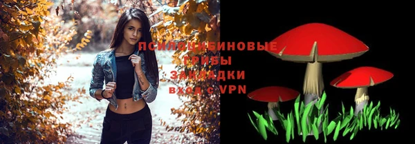 молекула духа Киренск