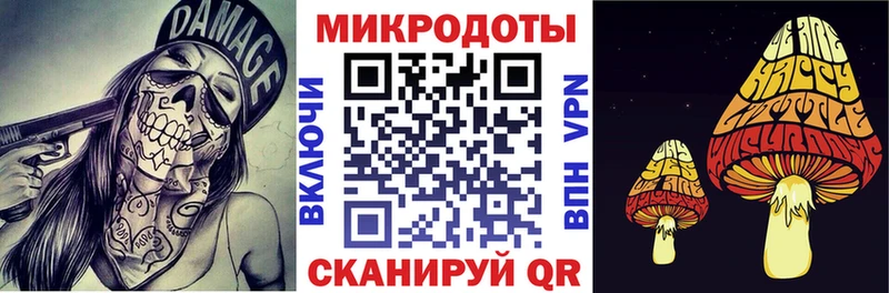 Галлюциногенные грибы MAGIC MUSHROOMS  Купить закладки  Чегем 
